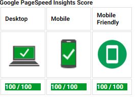 pagespeed nr1onlinesites