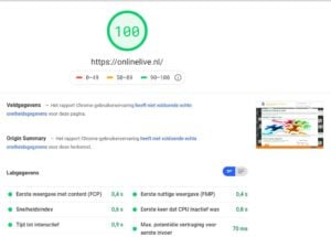 De testresultaten van Onze Website OnlineLive met PageSpeed Insight Google Desktop